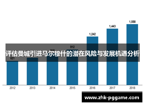 评估曼城引进马尔穆什的潜在风险与发展机遇分析 评估曼城引进马尔穆什的潜在风险与发展机遇分析