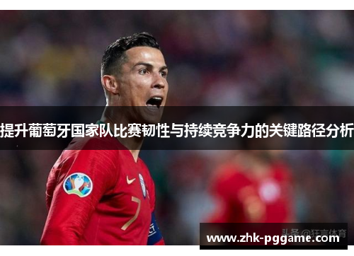 提升葡萄牙国家队比赛韧性与持续竞争力的关键路径分析 提升葡萄牙国家队比赛韧性与持续竞争力的关键路径分析