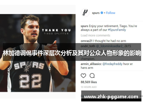 林加德调侃事件深层次分析及其对公众人物形象的影响