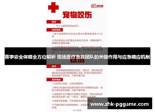赛事安全保障全方位解析 现场医疗急救团队的关键作用与应急响应机制